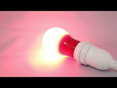 カラー電球 LED電球 赤色 口金 E26 防水 調光 赤 レッド MPL-B-5/RED